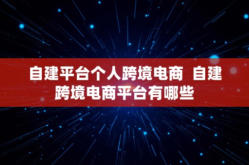 自建平台个人跨境电商  自建跨境电商平台有哪些