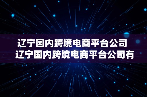 辽宁国内跨境电商平台公司  辽宁国内跨境电商平台公司有哪些