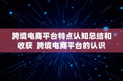 跨境电商平台特点认知总结和收获  跨境电商平台的认识