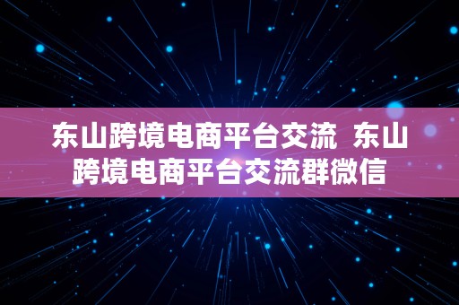 东山跨境电商平台交流  东山跨境电商平台交流群微信