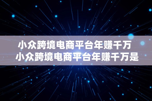 小众跨境电商平台年赚千万  小众跨境电商平台年赚千万是真的吗