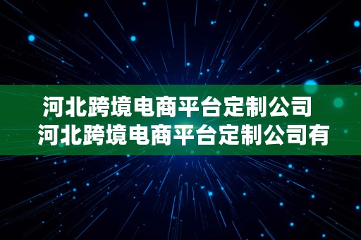 河北跨境电商平台定制公司  河北跨境电商平台定制公司有哪些