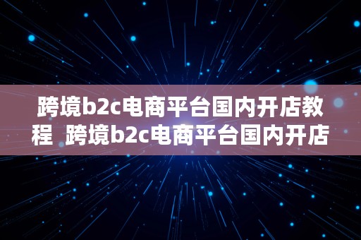 跨境b2c电商平台国内开店教程  跨境b2c电商平台国内开店教程视频