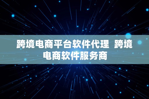 跨境电商平台软件代理  跨境电商软件服务商