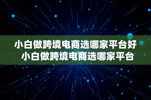 小白做跨境电商选哪家平台好  小白做跨境电商选哪家平台好一点