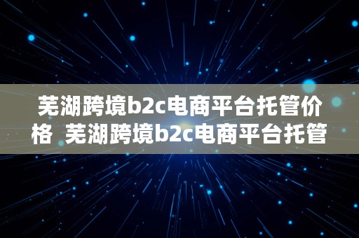 芜湖跨境b2c电商平台托管价格  芜湖跨境b2c电商平台托管价格多少