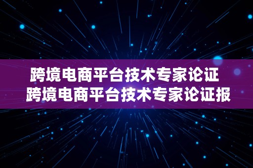 跨境电商平台技术专家论证  跨境电商平台技术专家论证报告