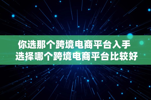 你选那个跨境电商平台入手  选择哪个跨境电商平台比较好