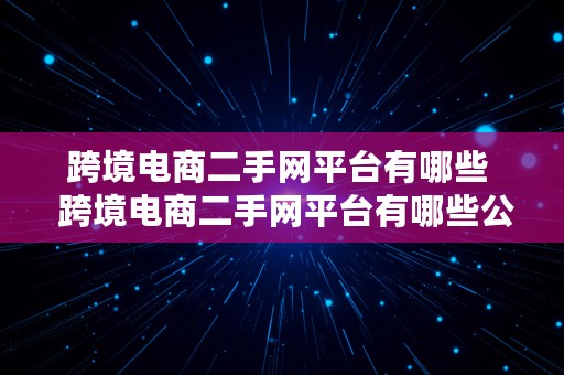 跨境电商二手网平台有哪些  跨境电商二手网平台有哪些公司