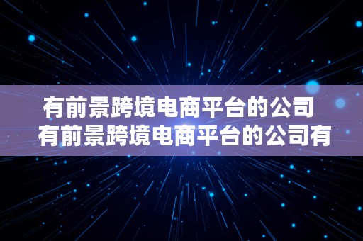 有前景跨境电商平台的公司  有前景跨境电商平台的公司有哪些