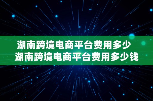 湖南跨境电商平台费用多少  湖南跨境电商平台费用多少钱