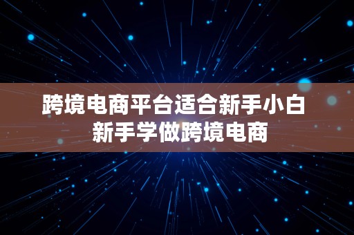 跨境电商平台适合新手小白  新手学做跨境电商