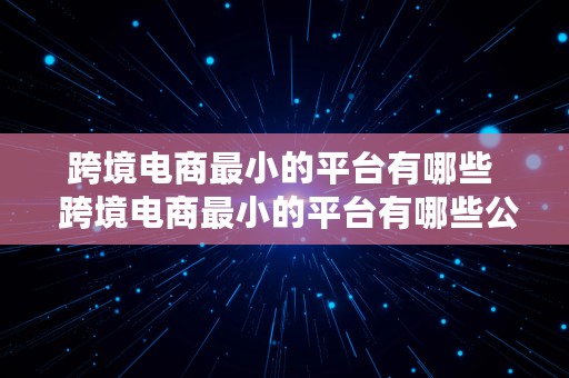 跨境电商最小的平台有哪些  跨境电商最小的平台有哪些公司