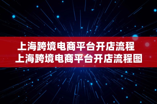 上海跨境电商平台开店流程  上海跨境电商平台开店流程图