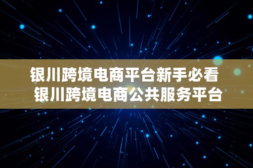 银川跨境电商平台新手必看  银川跨境电商公共服务平台
