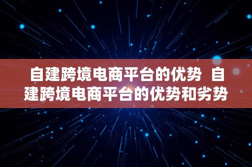 自建跨境电商平台的优势  自建跨境电商平台的优势和劣势