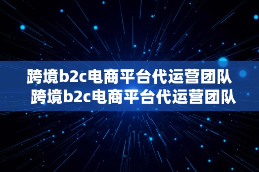 跨境b2c电商平台代运营团队  跨境b2c电商平台代运营团队有哪些