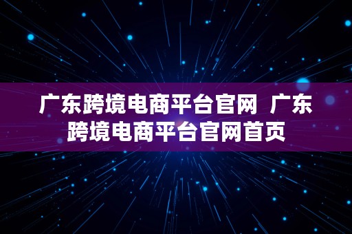 广东跨境电商平台官网  广东跨境电商平台官网首页