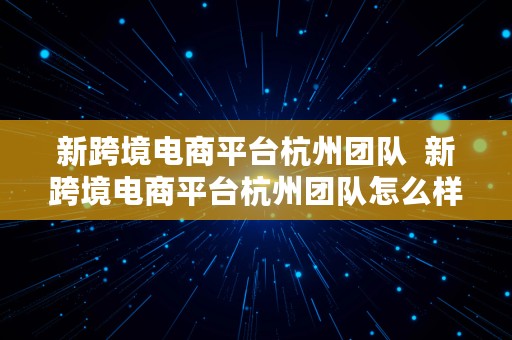 新跨境电商平台杭州团队  新跨境电商平台杭州团队怎么样