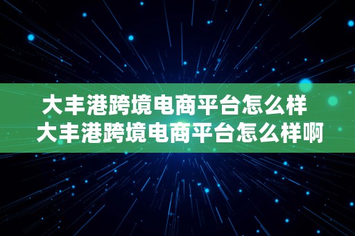 大丰港跨境电商平台怎么样  大丰港跨境电商平台怎么样啊