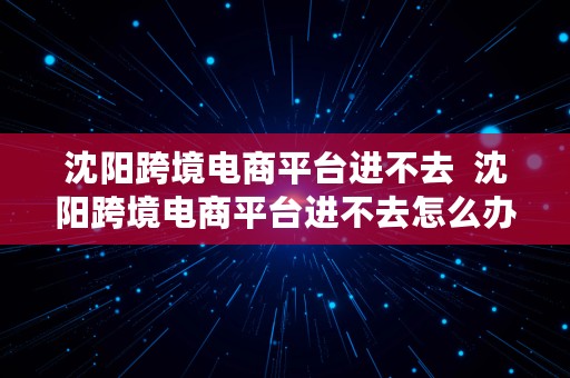 沈阳跨境电商平台进不去  沈阳跨境电商平台进不去怎么办