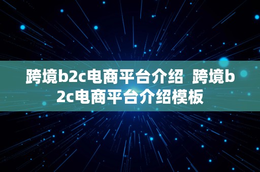 跨境b2c电商平台介绍  跨境b2c电商平台介绍模板