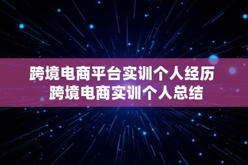 跨境电商平台实训个人经历  跨境电商实训个人总结