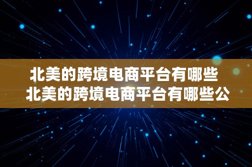 北美的跨境电商平台有哪些  北美的跨境电商平台有哪些公司