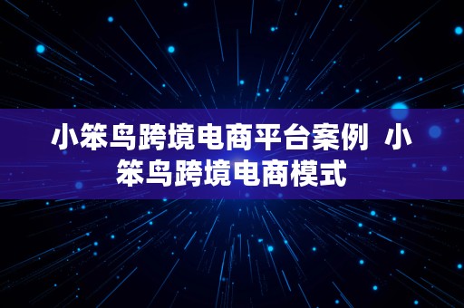 小笨鸟跨境电商平台案例  小笨鸟跨境电商模式