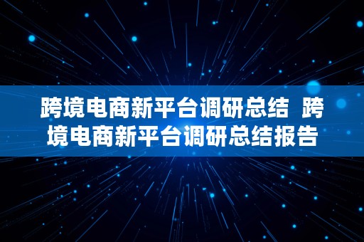 跨境电商新平台调研总结  跨境电商新平台调研总结报告