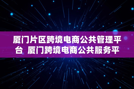 厦门片区跨境电商公共管理平台  厦门跨境电商公共服务平台