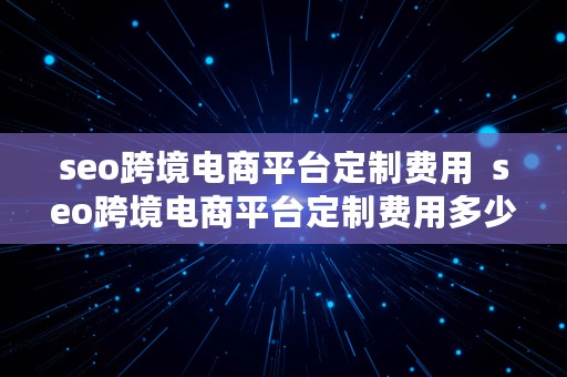 seo跨境电商平台定制费用  seo跨境电商平台定制费用多少