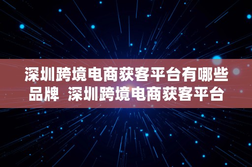 深圳跨境电商获客平台有哪些品牌  深圳跨境电商获客平台有哪些品牌的