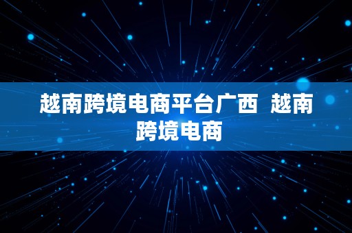 越南跨境电商平台广西  越南 跨境电商