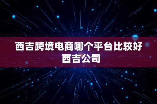 西吉跨境电商哪个平台比较好  西吉公司