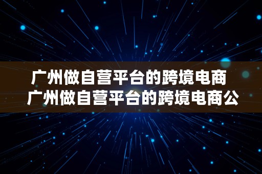 广州做自营平台的跨境电商  广州做自营平台的跨境电商公司