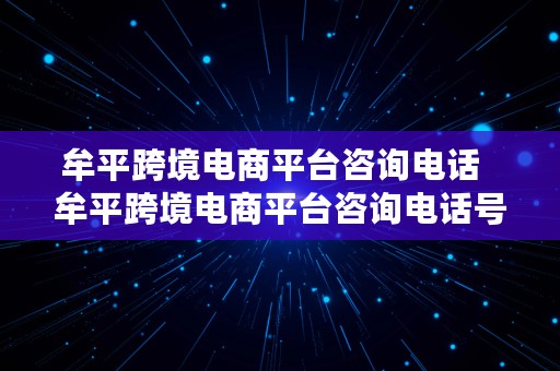 牟平跨境电商平台咨询电话  牟平跨境电商平台咨询电话号码