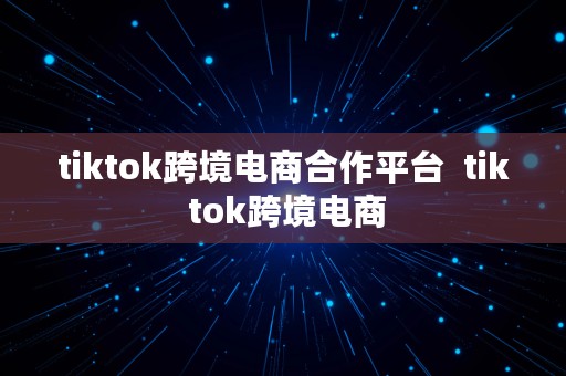 tiktok跨境电商合作平台  tik tok跨境电商