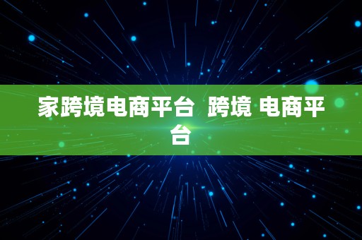 家跨境电商平台  跨境 电商平台