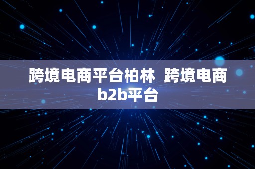 跨境电商平台柏林  跨境电商b2b平台