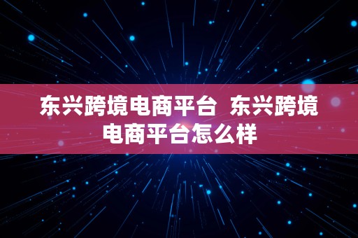 东兴跨境电商平台  东兴跨境电商平台怎么样