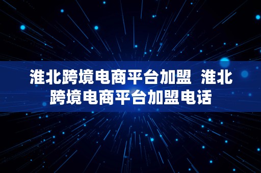 淮北跨境电商平台加盟  淮北跨境电商平台加盟电话