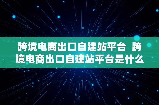 跨境电商出口自建站平台  跨境电商出口自建站平台是什么