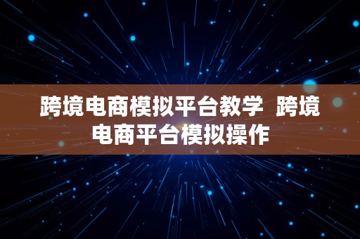 跨境电商模拟平台教学  跨境电商平台模拟操作