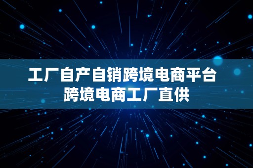 工厂自产自销跨境电商平台  跨境电商工厂直供