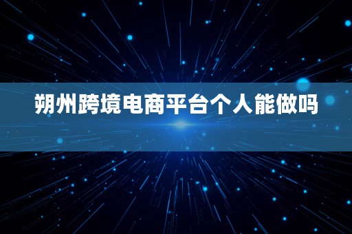 朔州跨境电商平台个人能做吗  