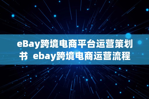 eBay跨境电商平台运营策划书  ebay跨境电商运营流程