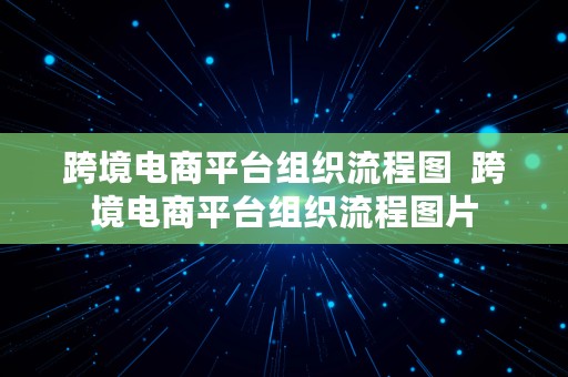 跨境电商平台组织流程图  跨境电商平台组织流程图片