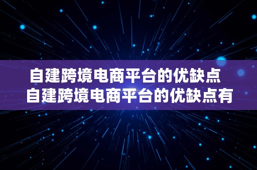 自建跨境电商平台的优缺点  自建跨境电商平台的优缺点有哪些