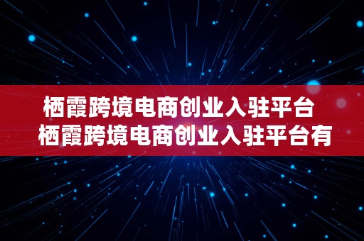 栖霞跨境电商创业入驻平台  栖霞跨境电商创业入驻平台有哪些